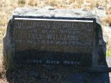 image of grave number 916465